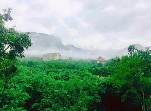 Courtyard khaoyai by August near Scenical World Courtyard khaoyai by August near Scenical World