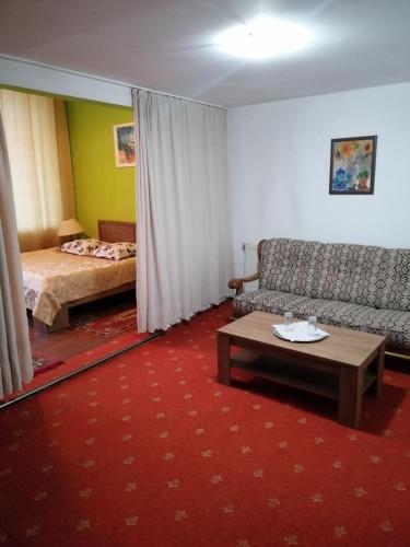 Hotel Rares in โบโตซานี Hotel Rares in โบโตซานี