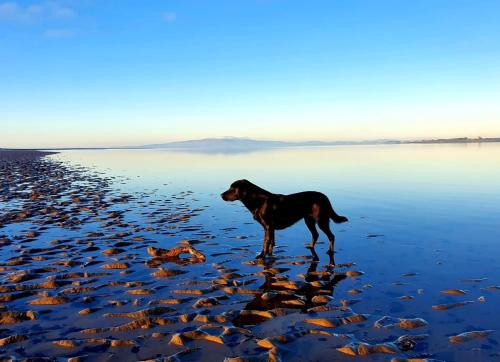 Pohled zvenku, Acremire Pod, Bowness-on-Solway in Bowness-on-Solway Pohled zvenku, Acremire Pod, Bowness-on-Solway in Bowness-on-Solway