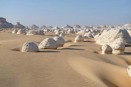 Shahrazad Camp in white desert, Egypt in Farafra Shahrazad Camp in white desert, Egypt in Farafra