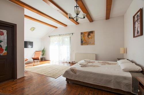 Pension Andra's House in Horezu Pension Andra's House in Horezu