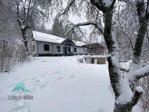 ทัศนียภาพภายนอกโรงแรม, Slowlife Mátra (Slowlife Matra) in มาทรัสเซนทิเมอร์ ทัศนียภาพภายนอกโรงแรม, Slowlife Mátra (Slowlife Matra) in มาทรัสเซนทิเมอร์