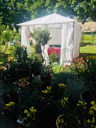 20 min OrlyAirport chambre paisible avec vue sur le jardin in Viry-Chatillon 20 min OrlyAirport chambre paisible avec vue sur le jardin in Viry-Chatillon
