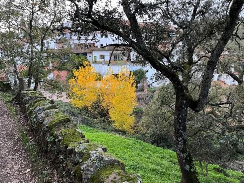 El Zarzo de Nemesio in Valdelarco El Zarzo de Nemesio in Valdelarco