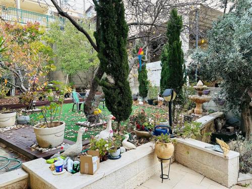 Hermon Accommodation in Majdal Shams Hermon Accommodation in Majdal Shams