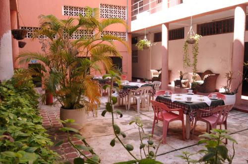 Garden, Hotel Montecarlo Beach in Tolu Garden, Hotel Montecarlo Beach in Tolu