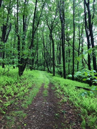 Blue Knob Bear Den (Nordic Center/Golf Course) near John Murtha Johnstown-Cambria County Airport Blue Knob Bear Den (Nordic Center/Golf Course) near John Murtha Johnstown-Cambria County Airport