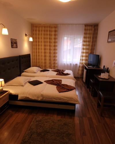Hotel Marasesti in Бустені Hotel Marasesti in Бустені