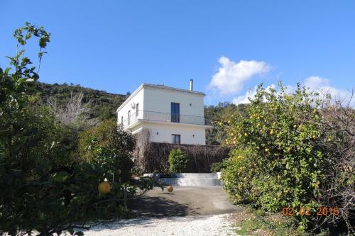 Intrare, Casavacanze Residence Maia Volcani in Acireale Intrare, Casavacanze Residence Maia Volcani in Acireale