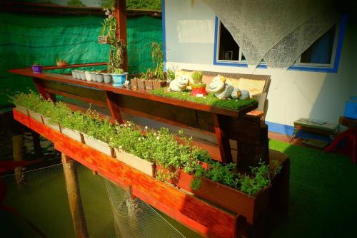 Dutchman Homestay in Salat Bay Dutchman Homestay in Salat Bay