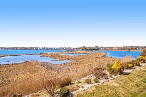 Mallard Cove --- 37304 Lighthouse Rd #8 in Selbyville Mallard Cove --- 37304 Lighthouse Rd #8 in Selbyville