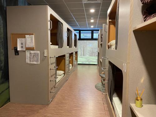 Andaina in 撒利亞 Andaina in 撒利亞