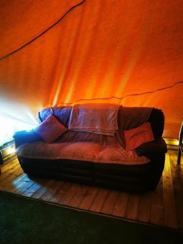 glamping for outdoor lovers in Portlaoise glamping for outdoor lovers in Portlaoise