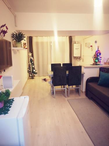 Studio Adela in Poiana Brasov Studio Adela in Poiana Brasov