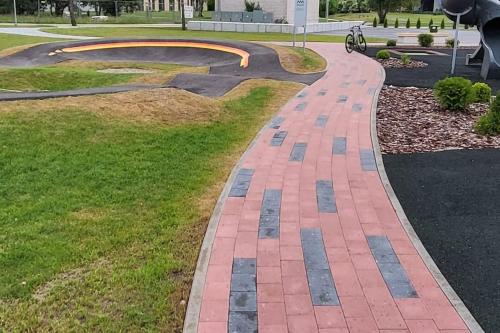 Seaside_albatross in 恩古雷 Seaside_albatross in 恩古雷