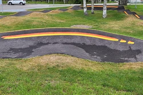 Seaside_albatross in 恩古雷 Seaside_albatross in 恩古雷