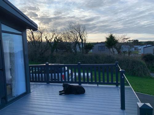 شرفة/ تراس, Mawgan Pads Lazy Days Lodge in St Mawgan شرفة/ تراس, Mawgan Pads Lazy Days Lodge in St Mawgan