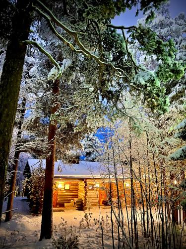 Exterior view, Arctic Lodges Lapland Ski In Family Studio, Wi-Fi, National Park - Lapland Villas in Pyhatunturi Exterior view, Arctic Lodges Lapland Ski In Family Studio, Wi-Fi, National Park - Lapland Villas in Pyhatunturi
