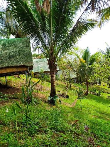 Camp Mayagay Tanay Rizal in ทาเนย์ Camp Mayagay Tanay Rizal in ทาเนย์
