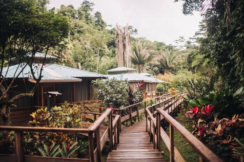 Jaguar Creek in Belmopan Jaguar Creek in Belmopan