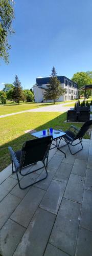 景觀, Seaside_albatross in 恩古雷 景觀, Seaside_albatross in 恩古雷