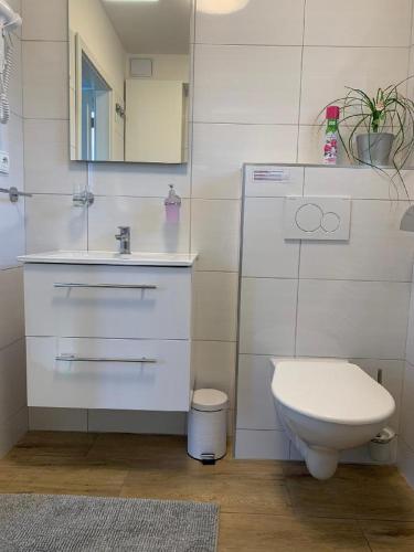Bathroom, Ubytovani U Krivanku 1 in Jindrichuv Hradec Bathroom, Ubytovani U Krivanku 1 in Jindrichuv Hradec