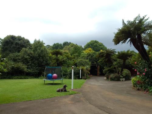 View, Hilton Castle in Howick View, Hilton Castle in Howick