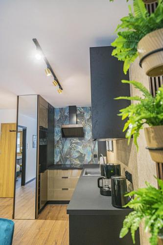 Apartament Kilinskiego 17a,2 in Szklarska Poreba Apartament Kilinskiego 17a,2 in Szklarska Poreba