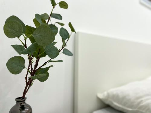 Ferienwohnung Schones Maifeld in Polch Ferienwohnung Schones Maifeld in Polch