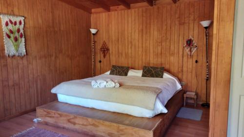 Volcano & Lake -Wellness- in Villarrica Volcano & Lake -Wellness- in Villarrica