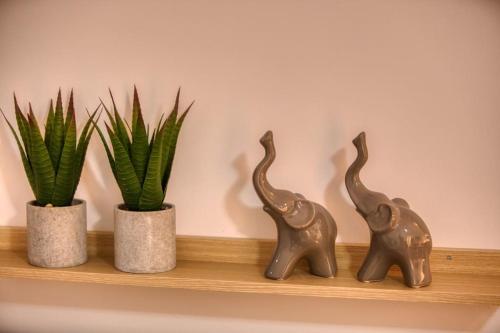 Efi's little treasure! in Agioi Anargyroi Efi's little treasure! in Agioi Anargyroi