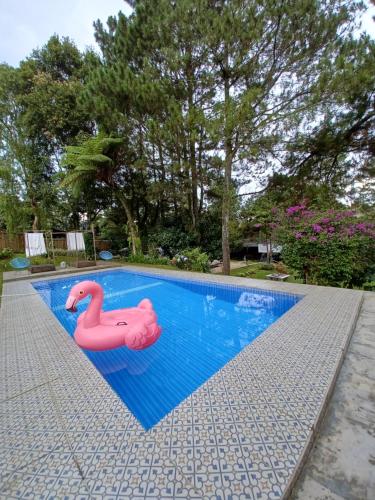 Swimming pool, Villa Dewi Rosenheim_Cisarua T Safari near Taman Safari Cisarua Swimming pool, Villa Dewi Rosenheim_Cisarua T Safari near Taman Safari Cisarua