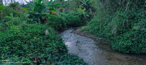 Streaming Valley Mountain View Family Stay in Мекери Streaming Valley Mountain View Family Stay in Мекери