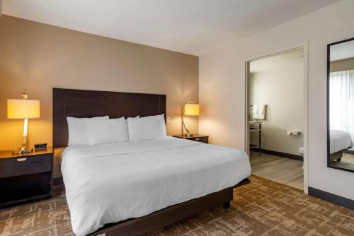 Best Western Plus Dalton Inn in 達爾頓 (GA) Best Western Plus Dalton Inn in 達爾頓 (GA)