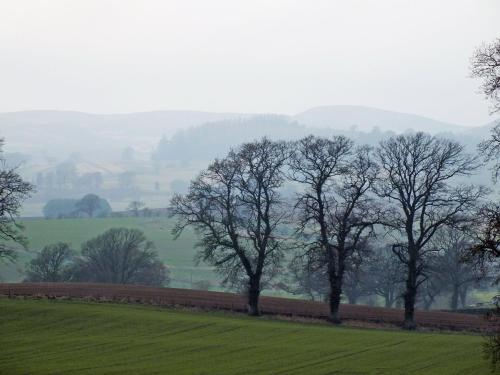 A szálláshely kívülről, The Cottage in Bankfoot A szálláshely kívülről, The Cottage in Bankfoot