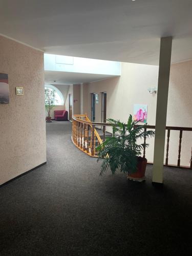 Pension Regal in Satu Mare Pension Regal in Satu Mare