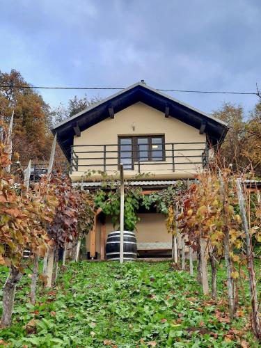 Exterior view, Vineyard cottage Kulovec in Komarna Vas Exterior view, Vineyard cottage Kulovec in Komarna Vas