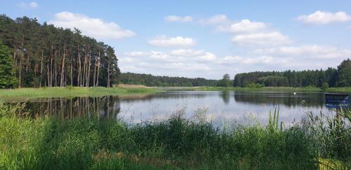 Jodłowe Chaty (Jodlowe Chaty) in Jacnia Jodłowe Chaty (Jodlowe Chaty) in Jacnia