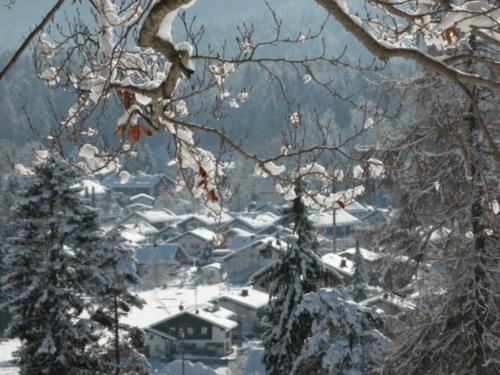 This photo about Gastehaus Sonneneck shared on HyHotel.com