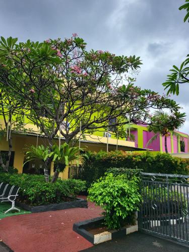 Garden, RedDoorz Plus near Dunia Fantasi Ancol in Ancol Garden, RedDoorz Plus near Dunia Fantasi Ancol in Ancol