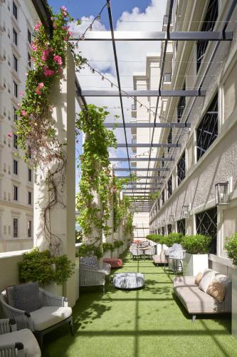 Balcony/terrace, THesis Hotel Miami Coral Gables, Curio Collection by Hilton in Coral Gables Balcony/terrace, THesis Hotel Miami Coral Gables, Curio Collection by Hilton in Coral Gables