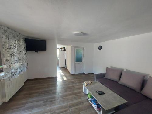 Zajednički dnevni boravak / prostorija s TV-om, Casa de vacanta Mira in Campu Lui Neag Zajednički dnevni boravak / prostorija s TV-om, Casa de vacanta Mira in Campu Lui Neag