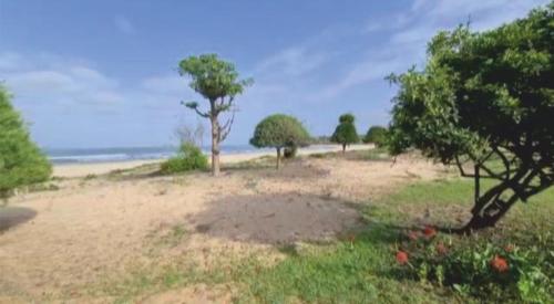 חוף ים, Villa Cap Ouest Piscine Grand Jardin à 2 Pas de l'Océan (Villa Cap Ouest Piscine Grand Jardin a 2 Pas de l'Ocean) in קאפ סקירינג חוף ים, Villa Cap Ouest Piscine Grand Jardin à 2 Pas de l'Océan (Villa Cap Ouest Piscine Grand Jardin a 2 Pas de l'Ocean) in קאפ סקירינג