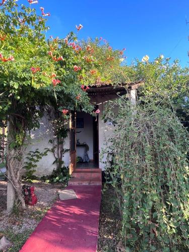 مدخل, Lo de Fabi in La Coronilla مدخل, Lo de Fabi in La Coronilla