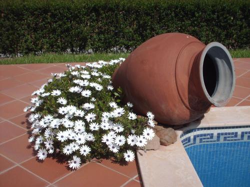 This photo about Agro-Turismo Monte da Galega shared on HyHotel.com