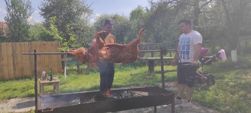 Viscri 143 in Viscri Viscri 143 in Viscri