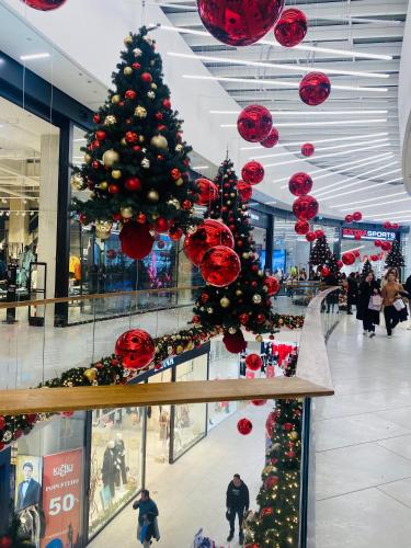 Vila Vanilla in Pirot Vila Vanilla in Pirot