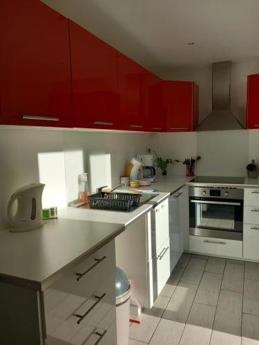 Petit chalet en bois in Ceret Petit chalet en bois in Ceret