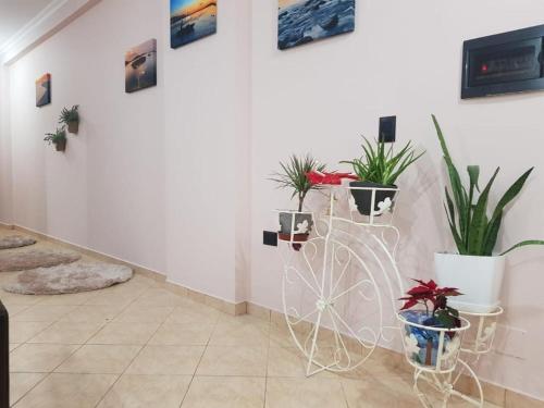BIG SEASIDE APARTMENT in Vlora BIG SEASIDE APARTMENT in Vlora