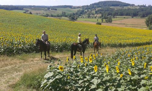 Horseback riding, ferme equestre des abrons in Cancon Horseback riding, ferme equestre des abrons in Cancon